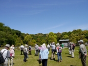 シイの花が目立つ修景庭園の周囲