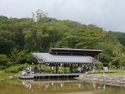 修景庭園で虫採り