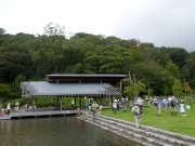 修景庭園で虫採り