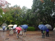 雨の豊橋公園