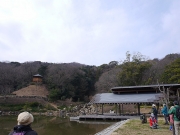 3月の修景庭園周囲