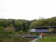 4月の修景庭園周囲