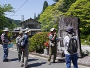 コノハズクの解説