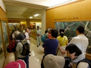 鳳来寺山附近の山の自然