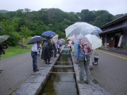 雨の中の観察会