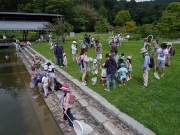 修景庭園で虫採り