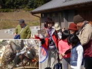 オタマジャクシの共食い