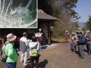 自動撮影カメラに写った公園内の哺乳類の解説