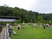 修景庭園で虫採り