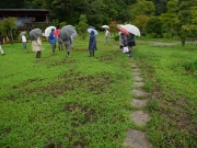 イノシシによる掘り起こし痕