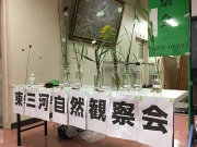 会場近くで見られる植物