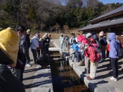 水中の生き物を観察