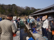 水中の生き物を観察