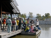 鳥と恐竜の解説