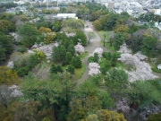 豊橋市役所13階から眺める豊橋公園