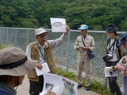 ため池の外来種の解説