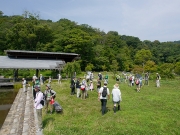 修景庭園で昆虫探し