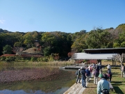 ふるさと公園の紅葉