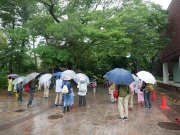 雨の中の観察会