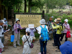 葦毛湿原の成り立ちの解説