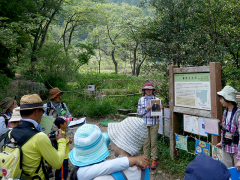 葦毛湿原の名前の由来の解説