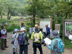 植生回復作業の解説