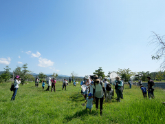 修景庭園芝生広場で虫捕り