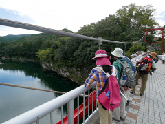 蜂の巣岩