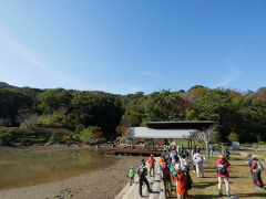 修景庭園から見える紅葉