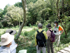 葦毛湿原の植物を解説