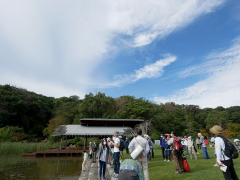 修景庭園の周りを季節ごとに見てみよう