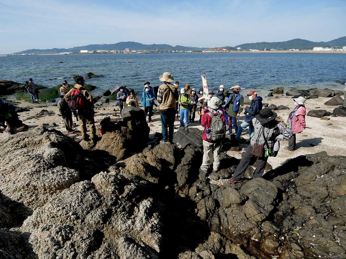 竹島自然観察会 Npo法人東三河自然観察会