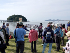 竹島付近で見られる野鳥の解説