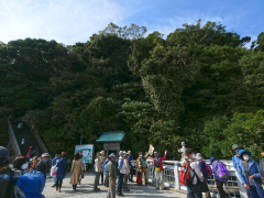 天然記念物としての竹島、八百富神社の解説