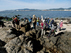 竹島の岩石の解説