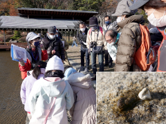 野鳥のフンの違いを解説