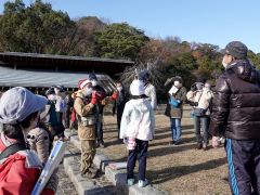 カイツブリの解説