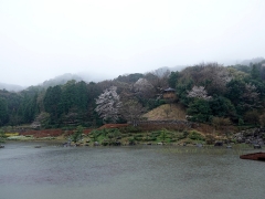 修景庭園での春の様子