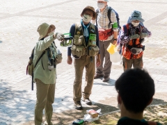 ガやチョウの解説