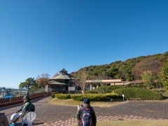 赤塚山公園の森の解説