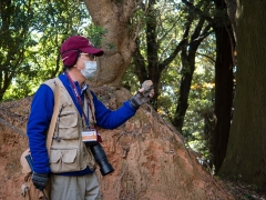 赤塚山の地質の解説