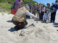 表浜の海蝕崖のでき方の解説