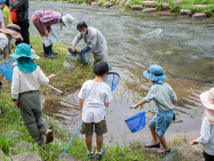 川の生き物探し