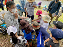 川の生き物の解説