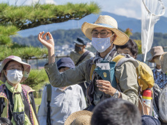 ウスバキトンボやシオカラトンボの解説