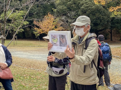 ムクロジの葉痕の解説