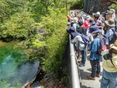 不動滝と周辺の地質の解説