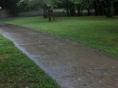 遊歩道に残る越水によって残された土砂