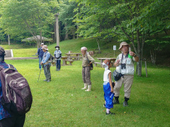 樹林下と日向の気温測定