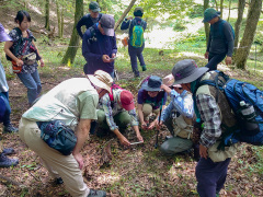 遅咲きのギンリョウソウを撮影